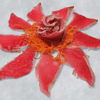 Best Tuna Tataki in Coconut Creek, FL